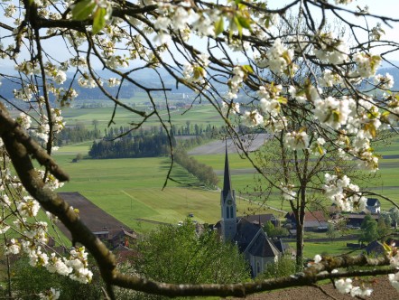 Egolzwil_4294731_Copyright_EnergieSchweiz