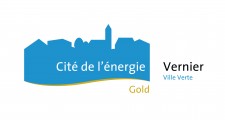 Vernier