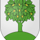 Gland