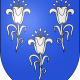 Chancy