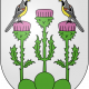 Chardonne