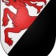 Burgistein