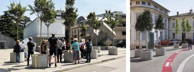 Vivai diffusi a Chiasso