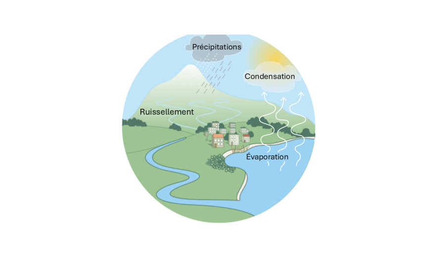 Graphique du cycle de l'eau