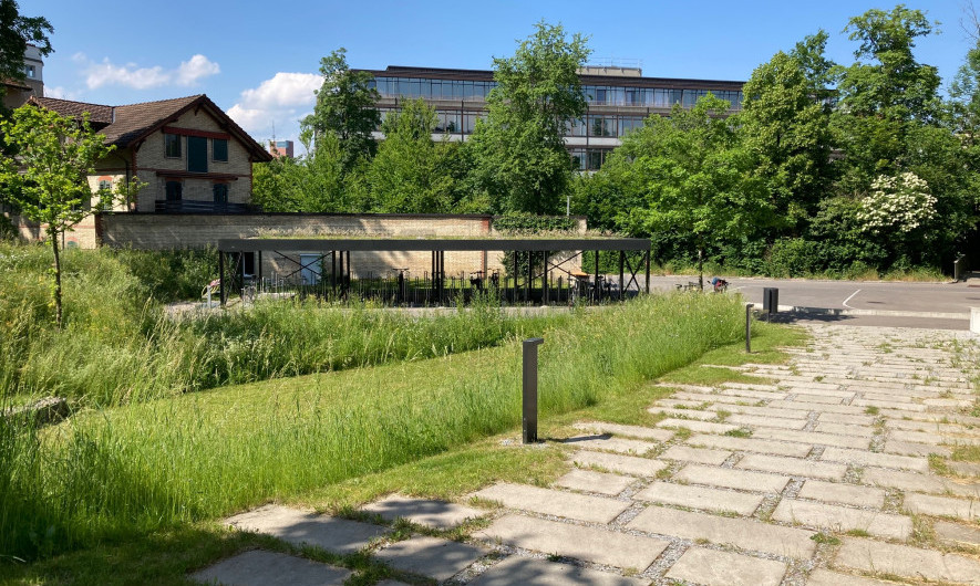 Bon exemple de l'école cantonale de Büelrain : prairies extensives, chemins permettant l'infiltration et abri à vélos végétalisé.